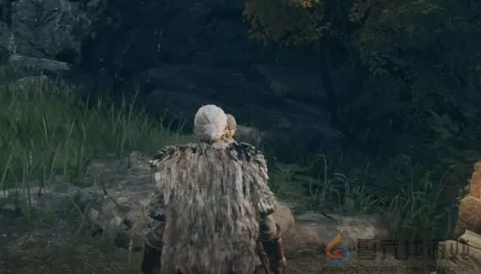 艾尔登法环dlc癫火之王支线攻略