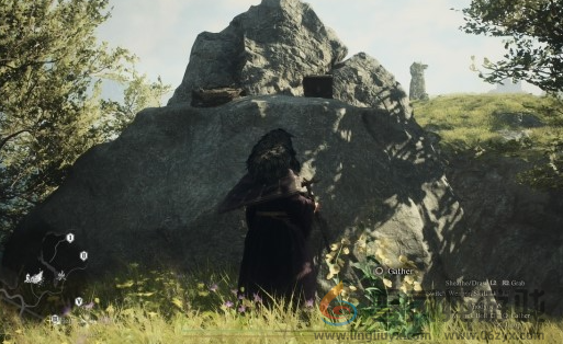 龙之信条2dragonsdogma2龙之脉动碎片14位置攻略(图3)