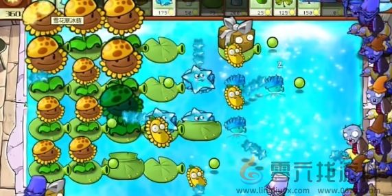 植物大战僵尸杂交版冒险模式第72关通关攻略(图4) 植物大战僵尸杂交版冒险模式第72关通关攻略(图4)