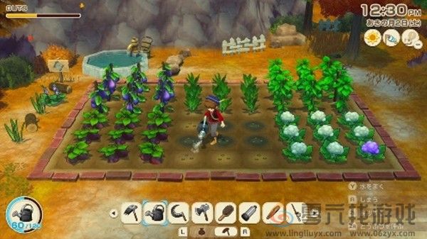 《符文工房 龙之天地》《牧场物语 来吧!风之繁华集市》同步特卖(图18)